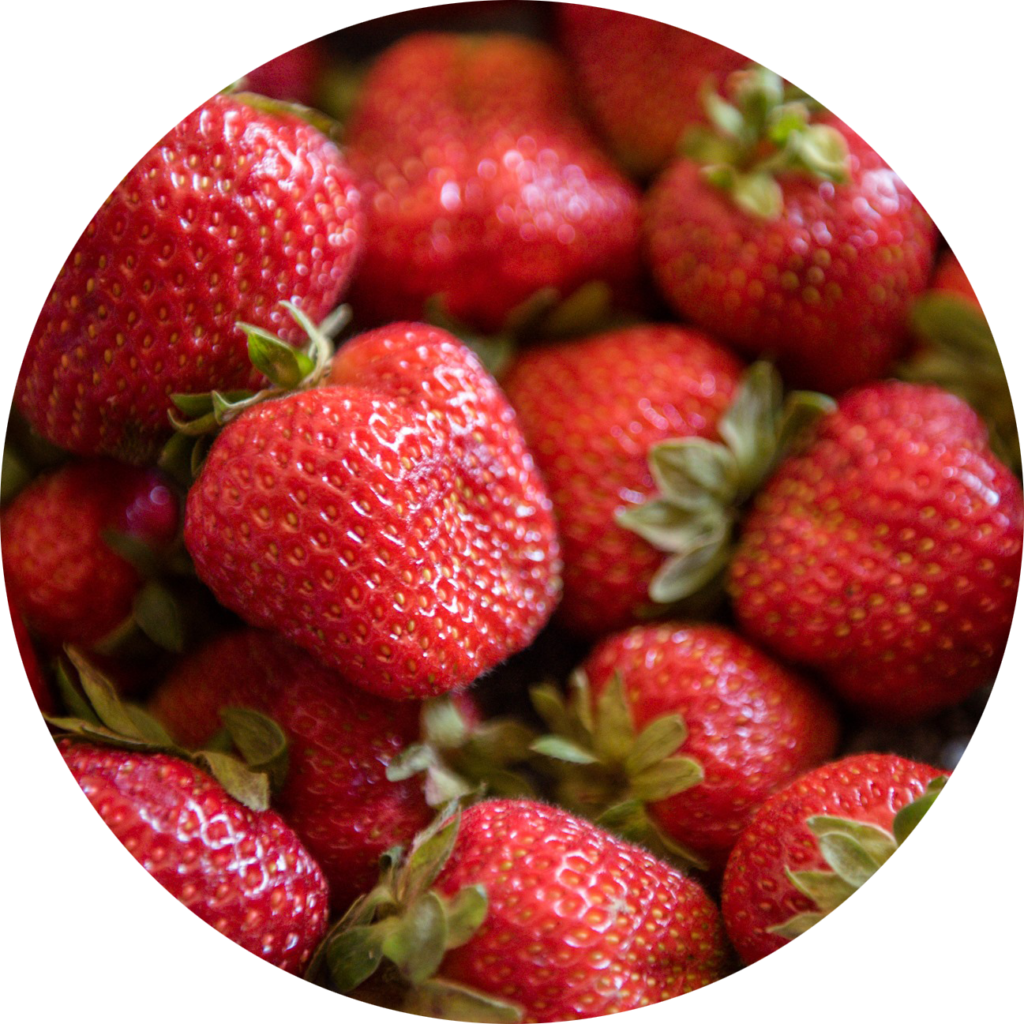 fresh-picked-strawberries-miller-farms-market